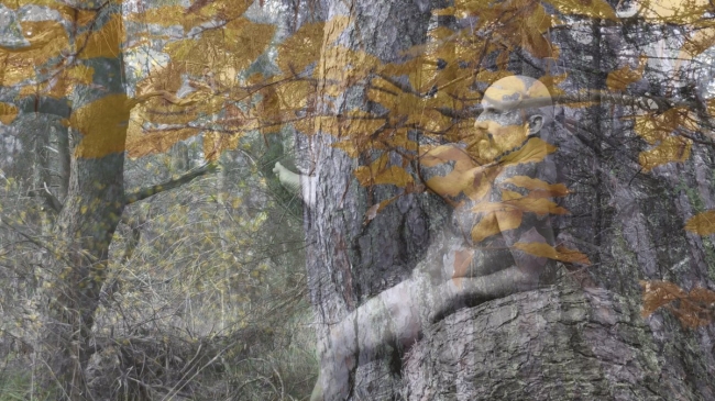 Bark&Skin #19