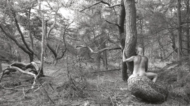 Bark&Skin #10