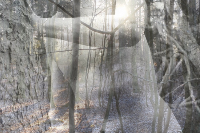 Bark&Skin #7 