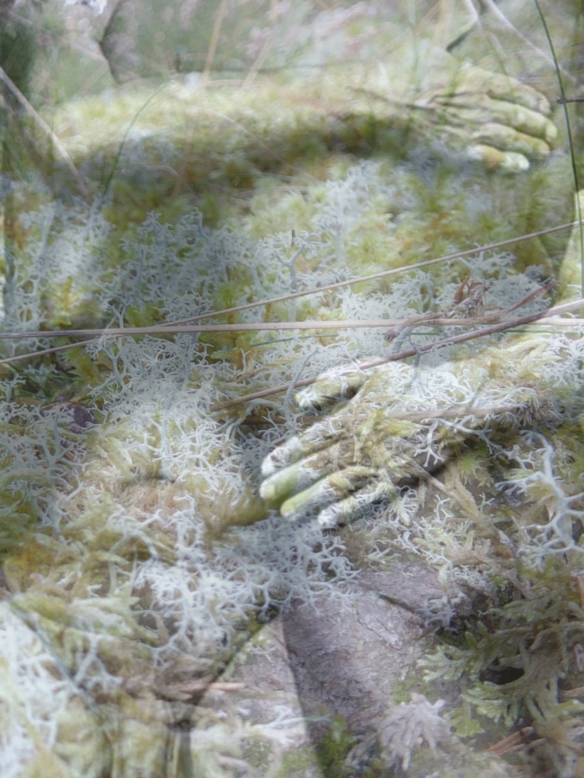 Bark&Skin #8
