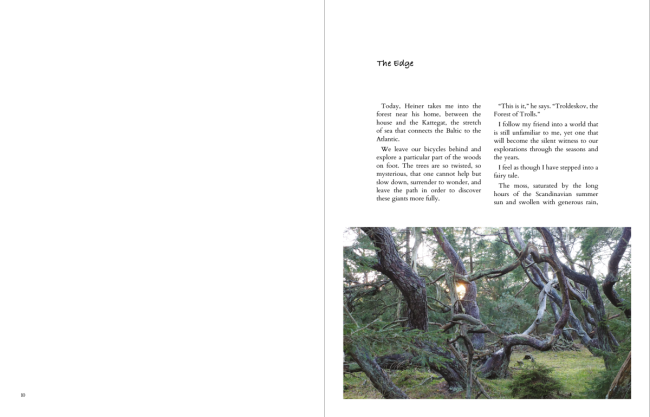Bark &amp; Skin - the book